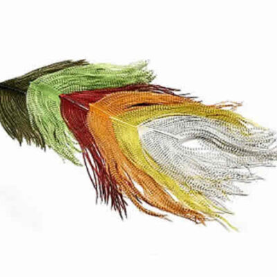 Ostrich – Barred – Long