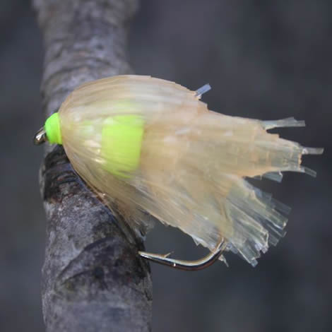 T15 - Translucent Fritz - Image 3