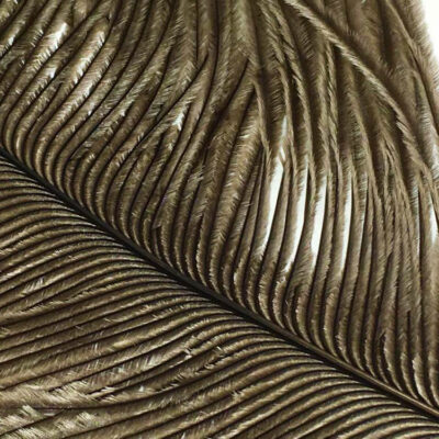 Ostrich Herl