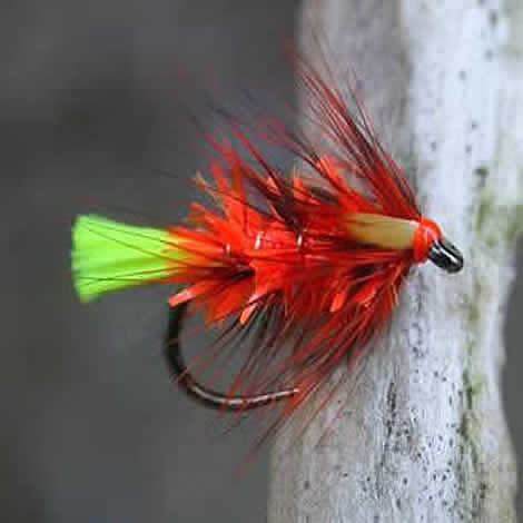 NEON Mini - Fritz
