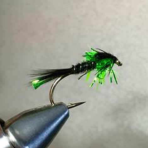 Small Shimmer Hackle