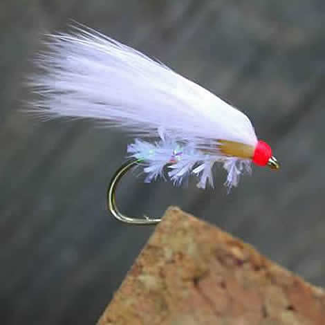 NEON Mini - Fritz