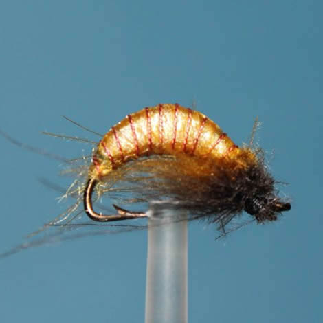 Flexible Tungsten – Shrimp Bodies