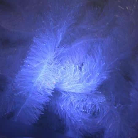 Gel Core Fritz