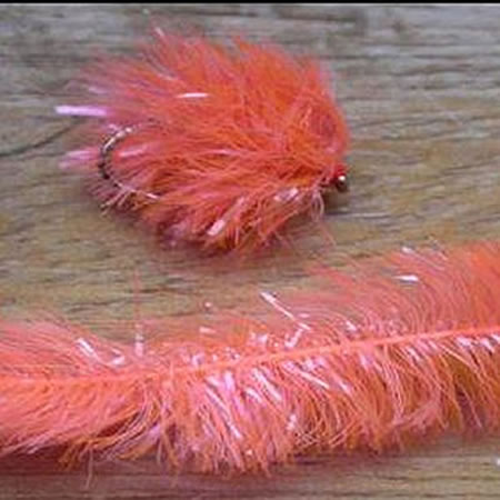 Gel Core Fritz