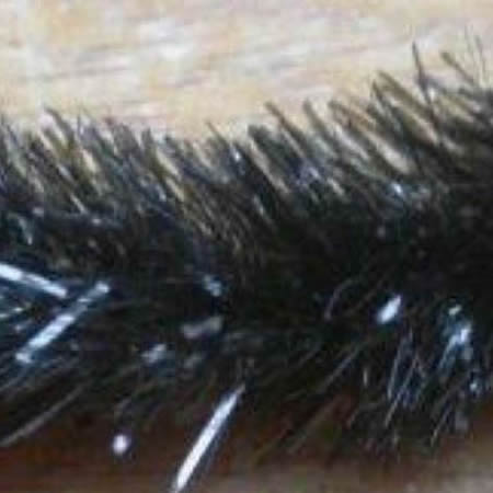 Gel Core Fritz