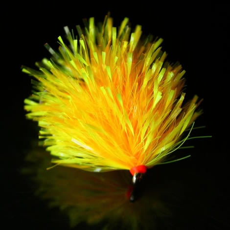 NEON 15 Fritz