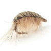 Pro Gammarus Shells