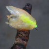 T15 - Translucent Fritz