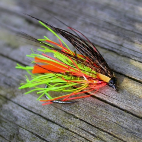 NEON Hackle