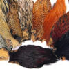 Cock Capes - NATURAL - Indian