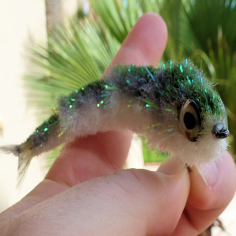 Fish Spines - Flymen Fishing Company