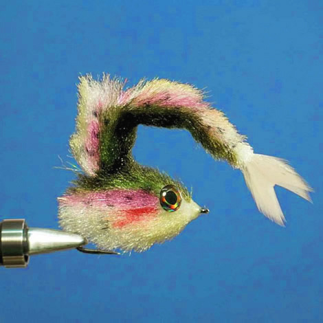 Fish Spines - Flymen Fishing Company
