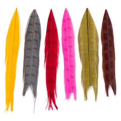 Pheasant Colour Extracted Tails