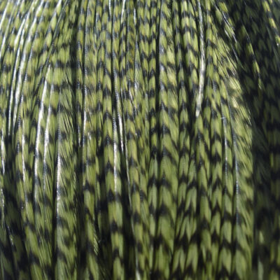 “100 Plus” Saddle hackles – WHITING