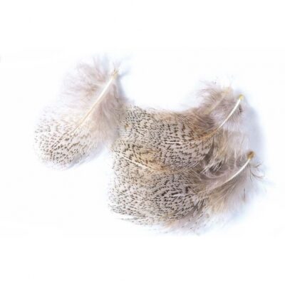 English Partridge – Mixed Hackles