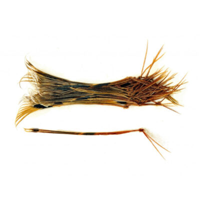Knotted Pheasant Tail – Hopper Legs