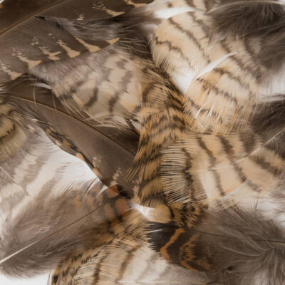 Woodcock – Mixed Body Hackles