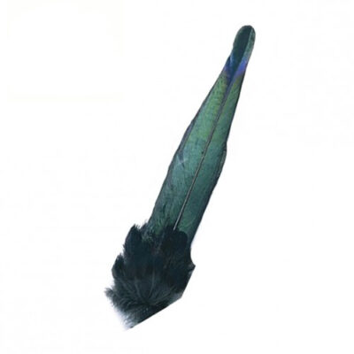 Magpie – Whole Tail
